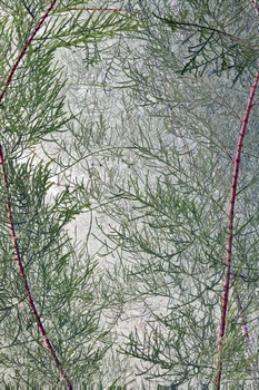 T 014